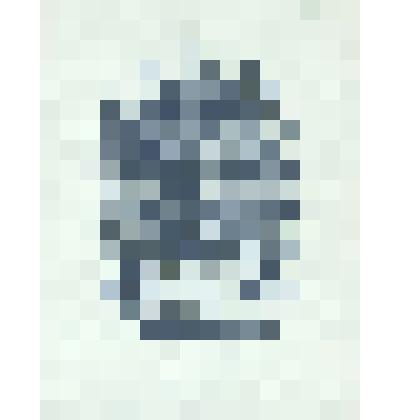 EX LIBRIS «Ефима Эшнер 1901-1978».1981