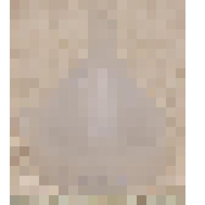 Воронка, от примуса туристкого "Шмель"