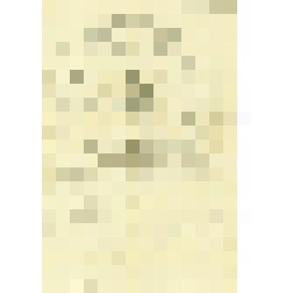 Полис № 1856499 Правления Северного Страхового Общества выдан Торчиковой Александре Васильевне. Застраховано имущество: дом, флигель, службы, баня, забор на сумму 1800 руб. Начало страхования - 6 мая 1911 года. Окончание - 6 мая 1912 года. Агенство в г. С