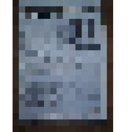 Газета. "Педагогические вести", газета РГПУ им. Герцена г. Москвы №13 от сентября 2004г