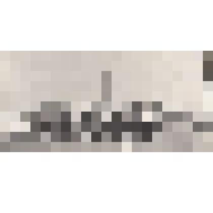 Ф/чб. Коллектив Мостоотряда на открытии автомоста Саратов-Энгельс через Волгу. 1965