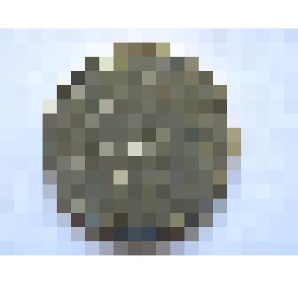 Монета 20 копеек