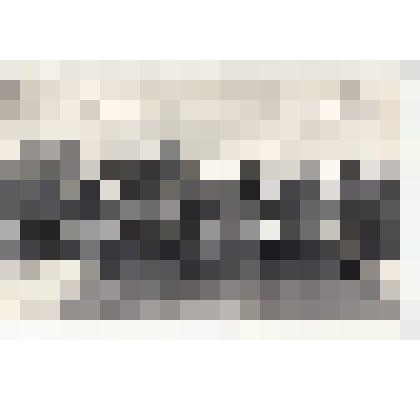 Ф/чб. Сборы руководящего Состава 14-й Отд. Армии ПВО (в группе военных стоит 5 справа Солдатов В.Т.). Новосибирск. 1972