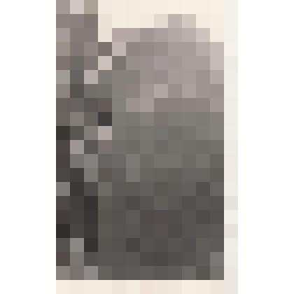 Фотография. Надгробный камень на могиле А.Г.Кассиля и А.И.Кассиль