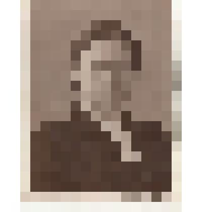 Фото/чб. Зоя, студентка 13 группы 2 курса СХИ. Саратов. 8.2.1956 г