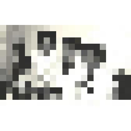 Фотографии. Фото ч/б Коллектив неврологического отделения Хакасской областной больницы. Слева направо физиотерапевт Лапырева Т.П., невролог Бауэр М.Л. психотерапевт Дергач В.И. 80- ые годы XX века