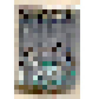 Значок с гербом г.Иркутска