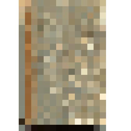 Книга: Миргород. Повести Н. Гоголя