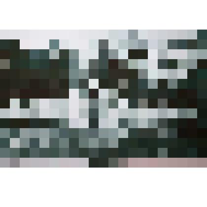 фотография. Михайловское училище