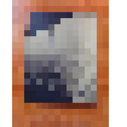 Фотография. Природа окрестностей г.Камня-на-Оби