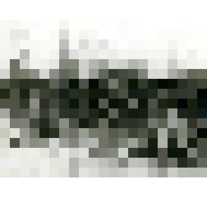 Фотография. Тунгусский дом, оз. Сэнгнэкэ