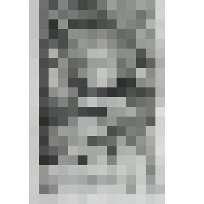 Портрет Яна [Янсцена] Сикста, государя ван Хиллегома и Вромада, барона Виммума, бургомистра Амстердама