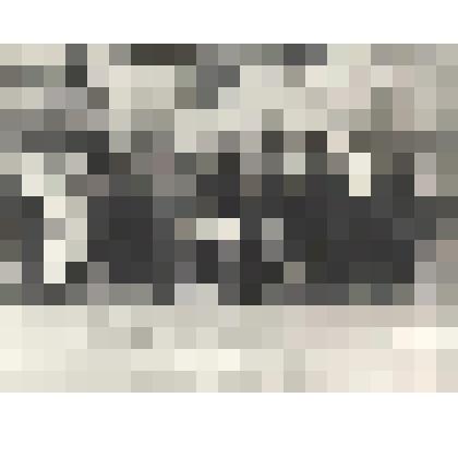 Фотографии. Фото. Участники делегации первой Красноярской краевой конференции инвалидов-председателей краевого, областного, городских и районных обществ инвалидов. Шушеначев И.В. в третьем ряду первый слева