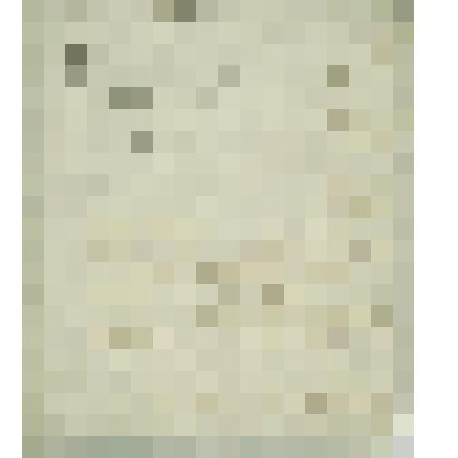 Дело Сиротского суда по опеке над имением малолетней Александры Шестаковой