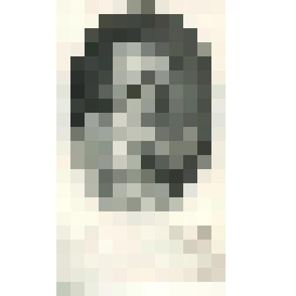 Портрет Екатерины II (С картины Д. Г. Левицкого)