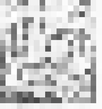 Экслибрис "Ex libris. Библиотека П.А. Демидова"