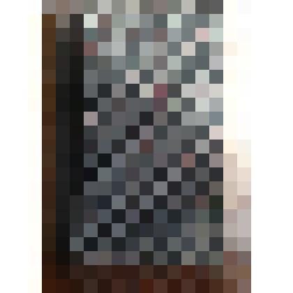 Конволют на немецком языке «Österreichische Garten-Zeitung».  Fünfter   jahrgang. 35 jahrgang der "Wiener illustrierten Gartenzeitung"  («Австрийская садовая газета». Ежемесячное издание. 5-й год издания. 35-й год издания «Венской иллюстрированной садово