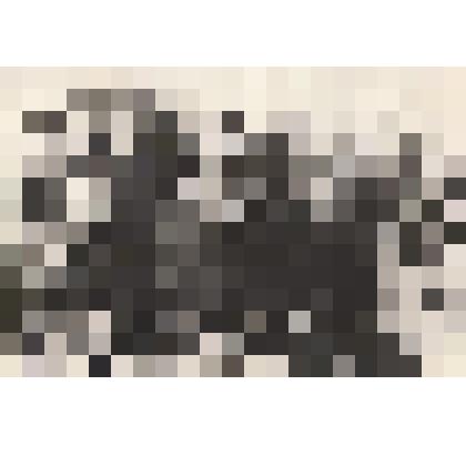 Фотография участники Великой Отечественной войны 1941-1945 гг. и солдатские вдовы на праздновании Дня Победы