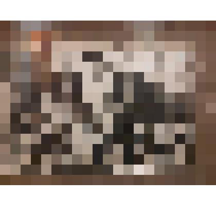 Фото. Комсомольцев