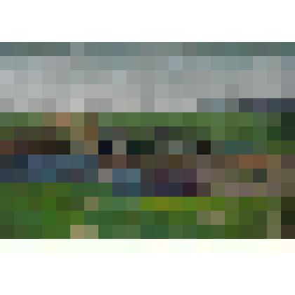 Картина. У водопоя