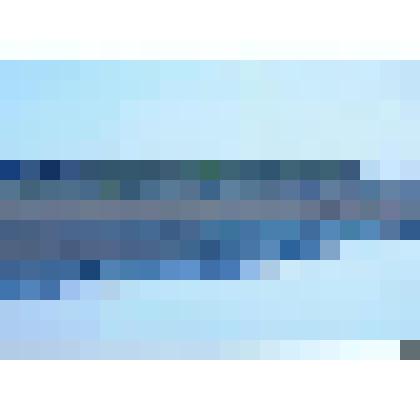 Фотография. Кулички у берега