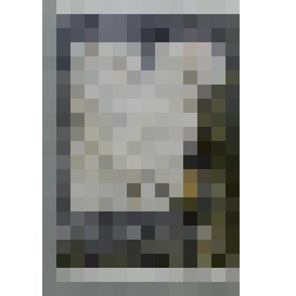 Иллюстрация №3 "Первое упоминание о городе Грязовце". На паспорту, в файле. Иллюстрация