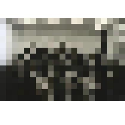 Фотография групповая. Костылева Пелагея Даниловна среди работников цветной металлургии, делегатов XXIV съезда КПСС