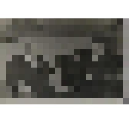 Фотография. В.П. Орлов, А.К. Рябошапко