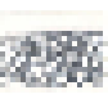 Фотография: митинг в г.Камне-на-Оби по случаю открытия железнодорожной линии Карасук-Камень