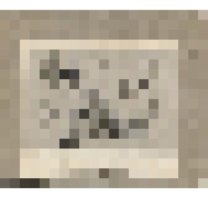 Репродукция из книги С. Сергеева-Ценского "Мишель Лермонтов"