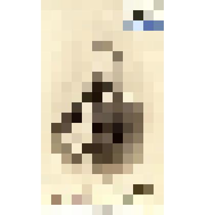 Фотография черно-белая. Фон Витторф Владимир Павлович