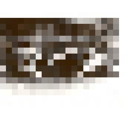 Фотография: группа учащихся первого года обучения детской музыкальной школы №1. Копия