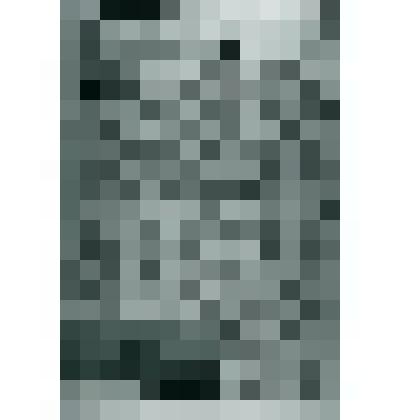 Негатив ч/б "Газета "Усинская Новь" №113 (315)"