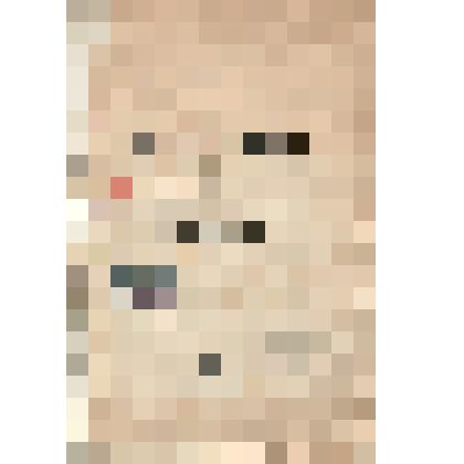 Книга: Алексей Васильевич Кольцов и его стихотворения. Типография Т-ва И.Д. Сытина. Москва, 1906 г