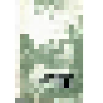 Книга. Яснополянский сборник 1978. Статьи, материалы, публикации