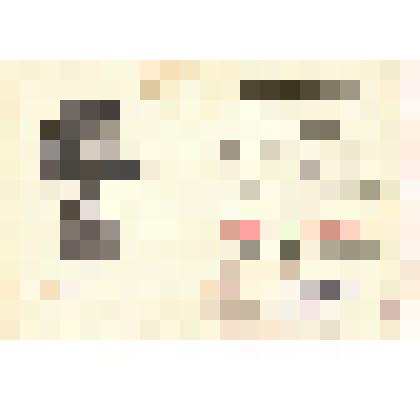 Удостоверение к медали "За победу над Японией " на имя Ипполитова Петра Степановича