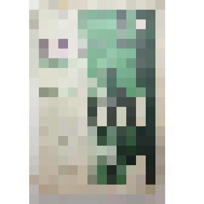 Книга. Турист- исследователь советских лесов. 7-ая тип. Мособлполиграфа "Искра революции"