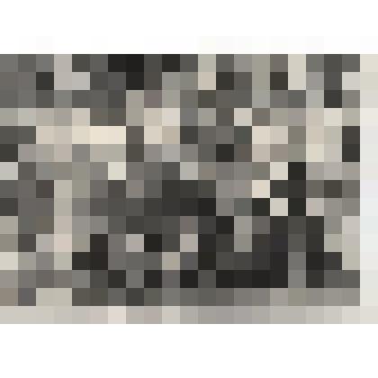 Фотография. Гребенщикова Анна Васильевна в группе женщин - ветеранов Великой Отечественной войны  в Вологде