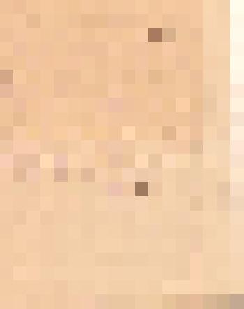 Письмо участника Ребрихинской агитбригады от жителя Приморского края Комиссарова Г.Н