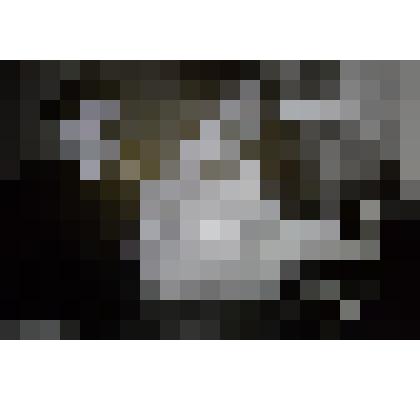 Фотография. Флор Васильев с женой Эмилией Сергеевной. За рабочим столом поэта