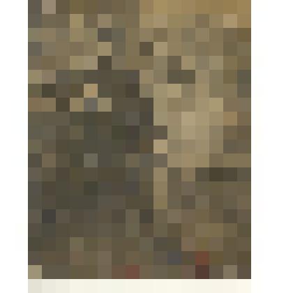 Фотография: Батищев И.К., старейший член коммуны "Социализм"