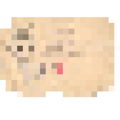 Документ. Удостоверение № 4512 Лапотышкина А.В., зав. жил. п/отделом ЧХЗ