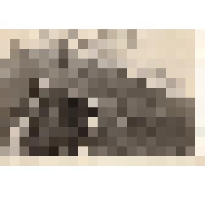 Ф/чб/коллаж. Детские ясли г. Бальцер (здание, дети на качелях). АССРНП.  апрель1941