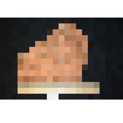 Плитка глинистого мергеля со скоплением костей черепа растительноядного пеликозавра