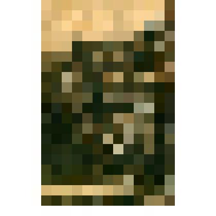 Открытка иллюстрированная "Гагры. Дворец Е.В. Принца Ольденбургского"