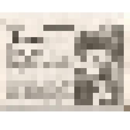 Листы из "Каменской народной газеты" №31 (2652) от 3-10 августа 2017 г. с материалом о Шуеве Владимире Алексеевиче, ветеране ФСБ в звании подполковника в запасе