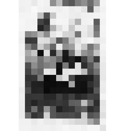 Фото групповое