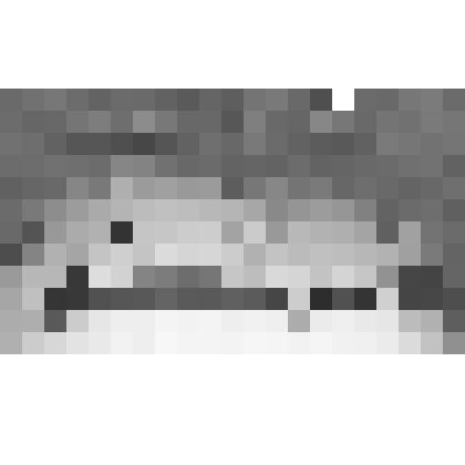 Фотография. Шуяне сопровождают гроб с телом городского головы Щеколдина Сергея Алексеевича, умершего в Москве (переснято с фотографии)