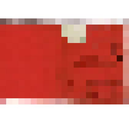 Билет члена лавочной Комиссии Новосибирского ЦРК (Новосибирский центральный рабочий кооператив)