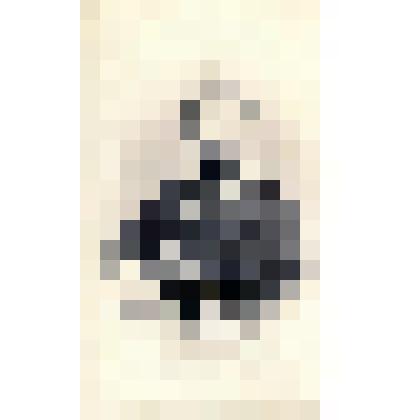 Фотография черно-белая. Нарбут Дмитрий Александрович